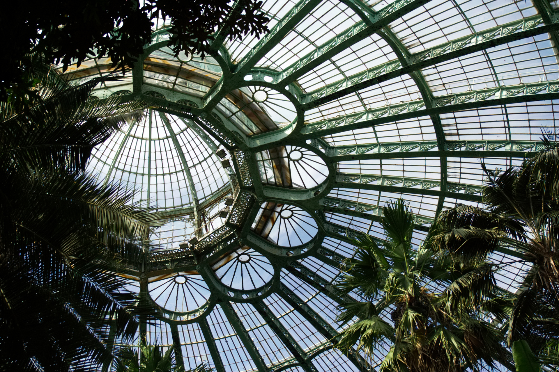 Glass and steel cannopy at the Royal Botanic Gardens, Brussels. © Simon Budden 2025